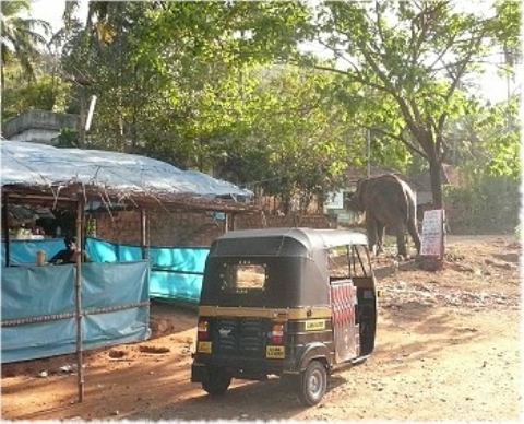 Images/cochin 375.jpg